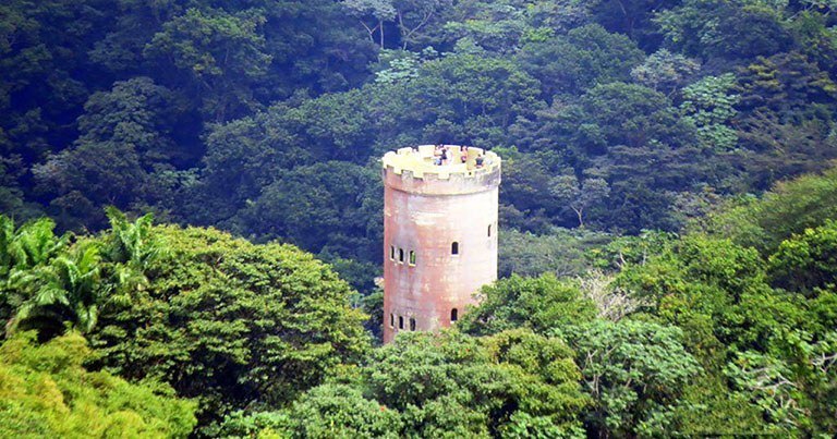 Sus bosques se dividen en 4 tipos dependiendo de su altitud