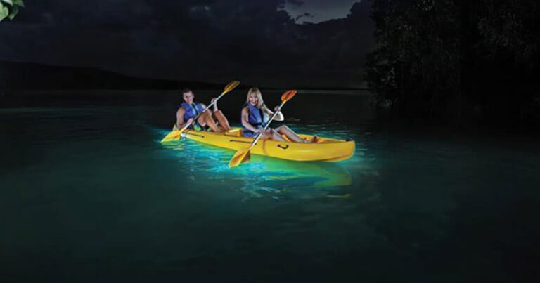 Tour de la Bahía Bioluminiscente de Fajardo